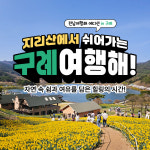 구례여행해 전남 구례 1박 2일 세미 패키지 지리산 리조트 식사 체험 산수유 투어 기프트립 : 기프트립