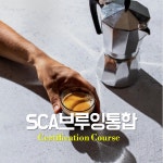 SCA브루잉통합과정(초급+중급) : 플로라커피 아카데미