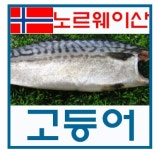 노르웨이산 고등 : 여수수협중매인8호 여수바다