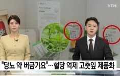 산들가 원기2호 환 고춧잎 정 100g 1통 (1개월분) : 산들자연