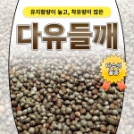 다유들깨 씨앗 200g 씨들깨 기름용들깨종자 들깨씨 : 튼튼씨앗