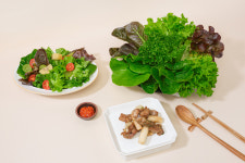 유러피안 샐러드 쌈 버터헤드 채소 야채  유럽 버터헤드 상추 채소 야채 1kg  싱싱봉봉 봉봉채소농장 무료배송 : 싱싱봉봉