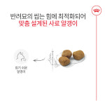 로얄캐닌 캣 인도어 7+ 3.5kg 고양이 건식 사료 : 신묘한냥이