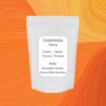 달콤고소한 과테말라 스페셜티 워시드 소소한사치 홀빈, 200g, 1개 : 소소한사치