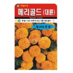 메리골드(대륜) 10립 씨앗 종자 모종 텃밭 주말농장 아람종묘 그린종묘사 : 허수아비정원