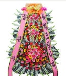 진또베기꽃;쌀화환 | 창원화환 창원쌀화환 결혼식 개업 근조 축하 꽃배달 : 꽃판다