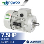 정우모터 3상 7.5마력 5.5KW 2극 B14 132S IE3 220/380V JFA : 모터그라운드