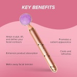 Skin Gym Amethyst Revati 진동 페이스 롤러 마사지기, 윤곽 향상, 광채 리프트 도구 활성화 DS-66 Amethyst : 다드림샵 다섯