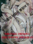 여수바다 특A 붕장어 1kg : 여수수협중매인8호 여수바다