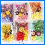 새로운 말린 꽃 UV 레진 스티커 에폭시 필링 DIY 쥬얼리 만들기 공예품 미술 재료 파티 홈 데코 : lianlian9