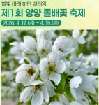 영양수비 별빛캠핑장+제1회 영양 돌배꽃축제 5종 체험 : 영양수비별빛캠핑장