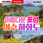 [부산출발] 여수 아름다운 꽃섬 하화도 당일 버스여행 와우(wow)부산여행사 : 와우부산여행사