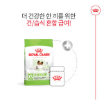 로얄캐닌 엑스스몰 에이징 12+ 1.5kg : 로얄캐닌 전문점