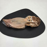 원양산 반건조 오징어 10미 피데기 촉촉한 캠핑 간식 소 중대 사이즈 : 위닝파트너스