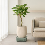 벨라가든 국내유일 3L 대용량 트리저브 화분받침대 이동식 바퀴 대형 화분받침 사각 : 벨라 가든