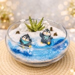 연set 테라리움DIY 다육이 국민다육 나만의정원만들기 테라리움만들기 : 연 다육