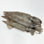 국내산 동해안 급냉 한치 : 지구마을 친환경농산물