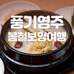 [당일/미식열차] 지금은 몸보신할때! 맛+영양+재미 다잡는 풍기인삼보양&영주축제 [트레인스토랑] : 주식회사 여행공방