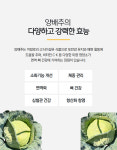 전남 신안 청년농부 양배추 + 대파 이벤트 : 푸름팜농장