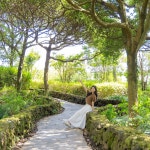 제주 카멜리아힐 +조안베어뮤지엄& 낙타트래킹& 자연인족욕 / 제주 여행 수국 동백 핑크뮬리 : WEPICK