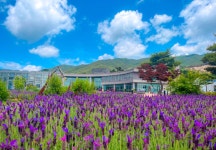 [1박2일/버스] 지리산 품은 남원&발효의 맛 순창 전북여행 : 주식회사 여행공방