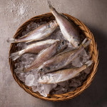 해창굴비(1팩,4팩) 300g, 1개 : 해창수산 바아몰