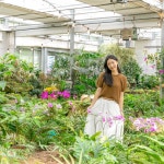 제주 카멜리아힐 +조안베어뮤지엄& 낙타트래킹& 자연인족욕 / 제주 여행 수국 동백 핑크뮬리 : WEPICK