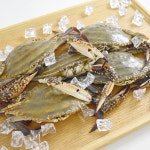 꽃게 제철 연평도 봄 알배기 꽃게 생물 암꽃게 1kg 4-6미 꽃개 : 안녕하농수산