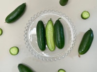 백다다기오이 오이지오이 피클용오이 5키로 미니오이 한박스 백오이10kg : 제철담은 농장