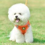 개와 고양이 반사 애완동물 하네스 가죽끈 세트  메쉬가   방지 개 조끼 : 이스트어썸