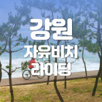 [1박2일/버스] 페달로 코발트 비치를~ 강릉&동해&삼척 [강원전담] : 주식회사 여행공방