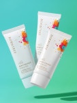 본트리 베리 에센스 선 블럭 50ml(SPF50+) 3개/ 172만개돌파 : 본트리샵