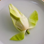 연꽃차 1송이 무농약 꽃차 다도 동결건조 냉동연꽃 : 내만갯벌 연근농장