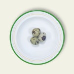 [알특집] 그린펫푸드 메추리알 24p 동결건조 : 그린 펫푸드