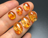 상급 발틱 플라워 앰버 금패 호박 오벌 캐보션 6x8,7x9,9x11mm AA+ : 엔조이비즈