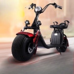 더블 60V 이동식 리튬 배터리 남성과 여성 할리 와이드 타이어 자동차 : 바이셀나인