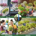 정원 마당 과수원용 DIY 사각형 태양광 점적 관수 벨트 (10개의 헤드 포함) : 람보르기니하이브리드