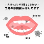 60 덴탈 스파 프로 알갱이 탄산 마우스 워시 동양 탄산 연구소 숨 깨끗이 치약 외출처 리뉴얼 나타 콩 녹차 : RIMeee