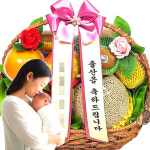 서울 경기 병문안선물 산후조리원 집들이 꽃 혼합 과일바구니 세트 당일배달 : 화란1004