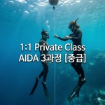 [1:1교육] 프리다이빙 AIDA 3 라이센스과정 서울 경기 : 원스다이브