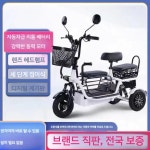 세발 전기자전거 인승 애견 동반 바이크 전기 자전거 유아동승 전동자전거 강아지 : 도우몰 원주34