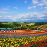 준페이 자동 예약확정 삿포로 후라노 비에이투어 일일 버스투어 홋카이도 : 흰그림자투어 주식회사