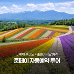 준페이 자동 예약확정 삿포로 후라노 비에이투어 일일 버스투어 홋카이도 : 흰그림자투어 주식회사