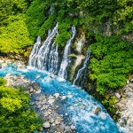 준페이 자동 예약확정 삿포로 후라노 비에이투어 일일 버스투어 홋카이도 : 흰그림자투어 주식회사