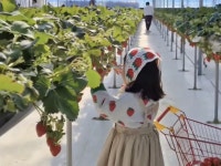 [당일/논산시티투어] [논산출발] 버스타고 쏙쏙 골라가는 논산 : 주식회사 여행공방