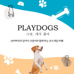 [상시] 서울 건대 플레이독스 보드게임카페 애견카페 티켓 : 와이엘랩