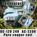 3000W 발전기 24V 12V 1000W 영구 발전기 캠핑용 삼륜차 트랙터 농장 야외 2000W 다이나모 DIY : 라프넥
