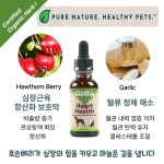 애니멀에센셜 심장팅크 강아지 심부전 기침 헥헥거림 활력케어 호손베리 항산화 30ml : 오세인트