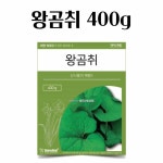 산나물 텃밭용 야채씨앗 왕곰취 400g 허브채소 새싹씨앗 쌈채소모종 : 돈비마트