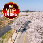 4/7 리무진 버스 성남용인출발 강릉 경포대 벚꽃 오죽헌 커피거리 벚꽃축제 당일여행 : 해솔투어
